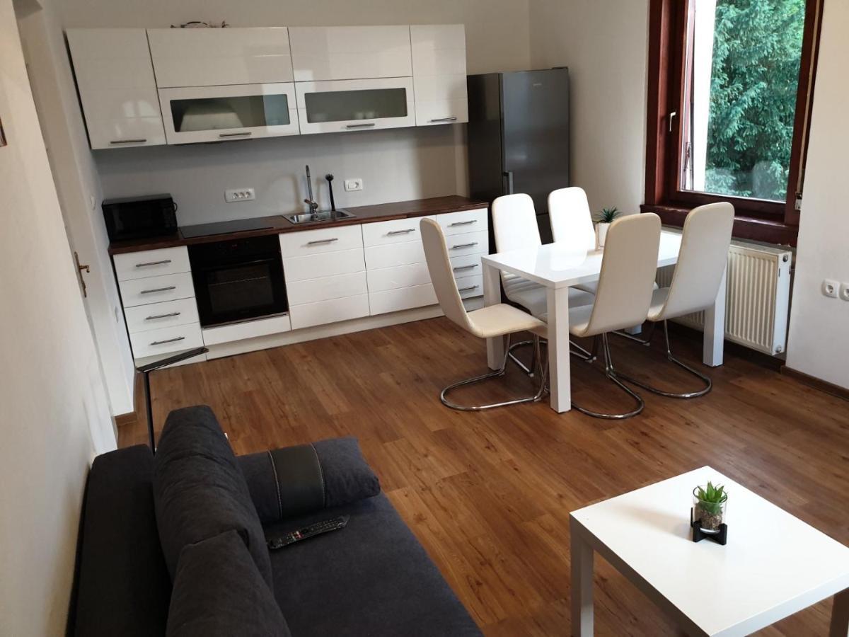Huge Bbq Garden 2, Spacious Flat, Ac, Free Parking 2 Ljubljana Kültér fotó
