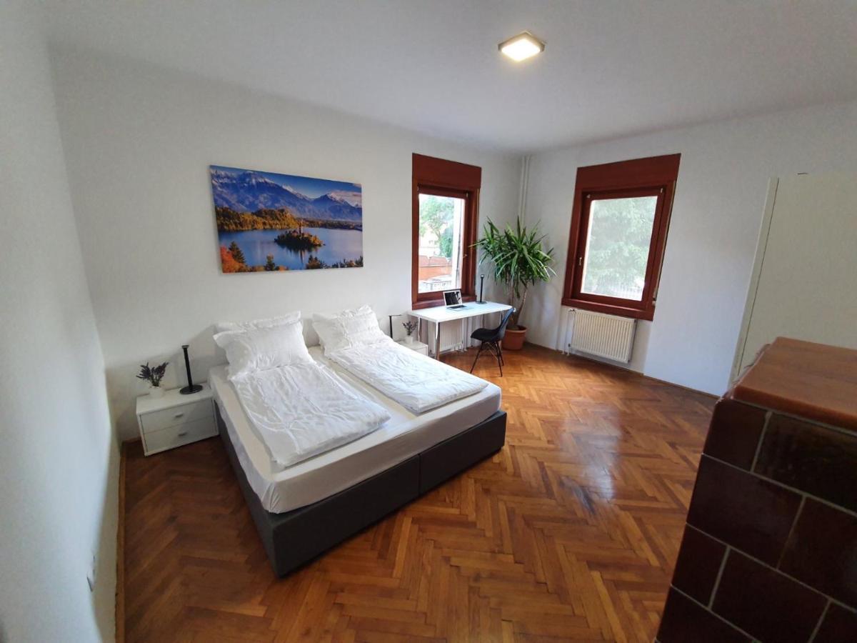 Huge Bbq Garden 2, Spacious Flat, Ac, Free Parking 2 Ljubljana Kültér fotó