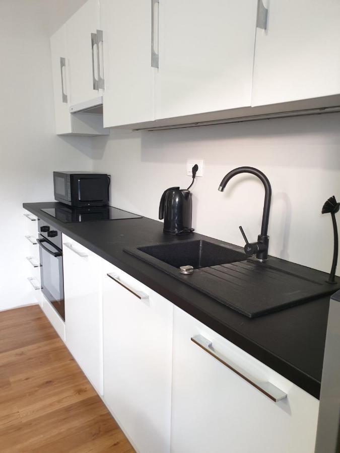 Huge Bbq Garden 2, Spacious Flat, Ac, Free Parking 2 Ljubljana Kültér fotó