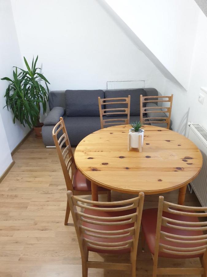 Huge Bbq Garden 2, Spacious Flat, Ac, Free Parking 2 Ljubljana Kültér fotó