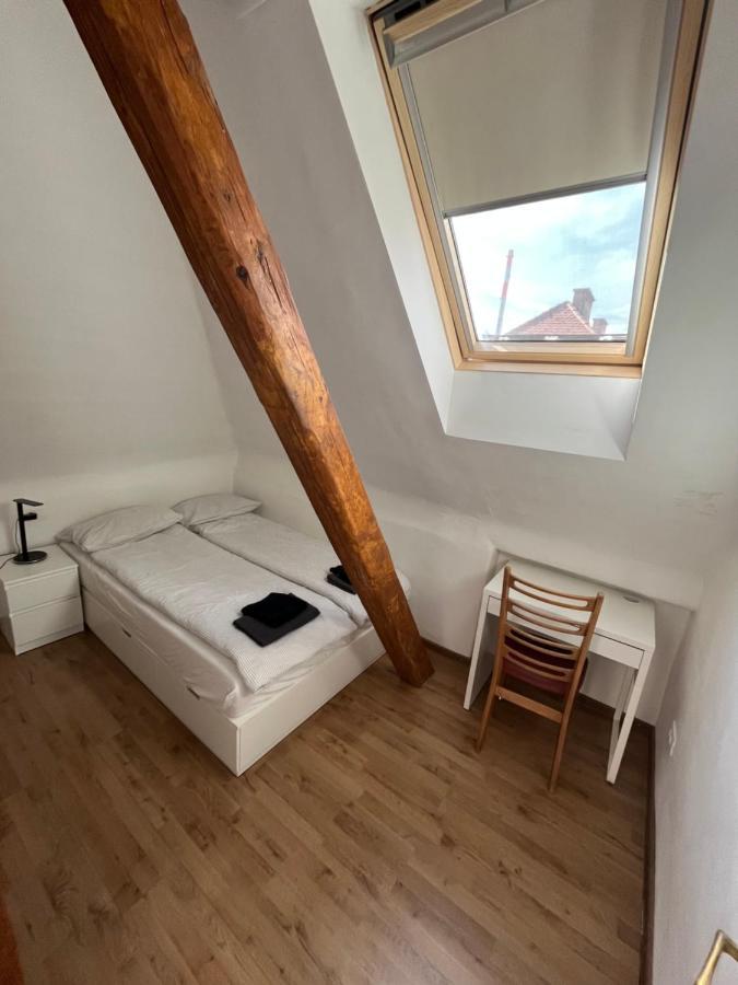 Huge Bbq Garden 2, Spacious Flat, Ac, Free Parking 2 Ljubljana Kültér fotó