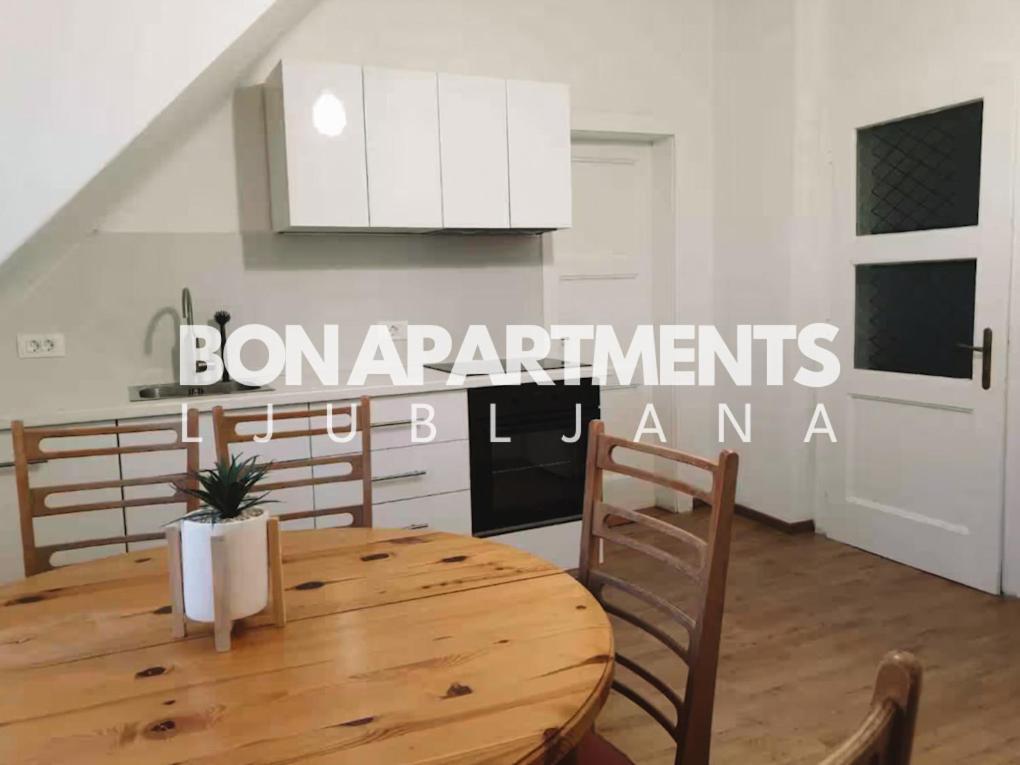 Huge Bbq Garden 2, Spacious Flat, Ac, Free Parking 2 Ljubljana Kültér fotó