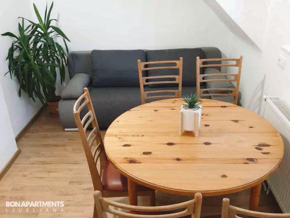 Huge Bbq Garden 2, Spacious Flat, Ac, Free Parking 2 Ljubljana Kültér fotó